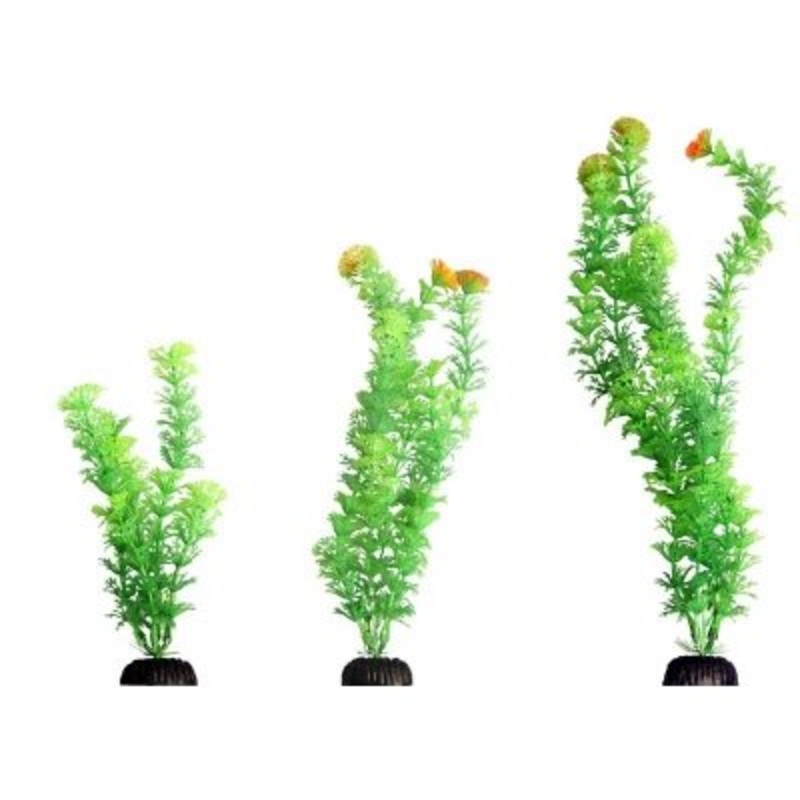 Aqua One Ecoscape Hygro Red M