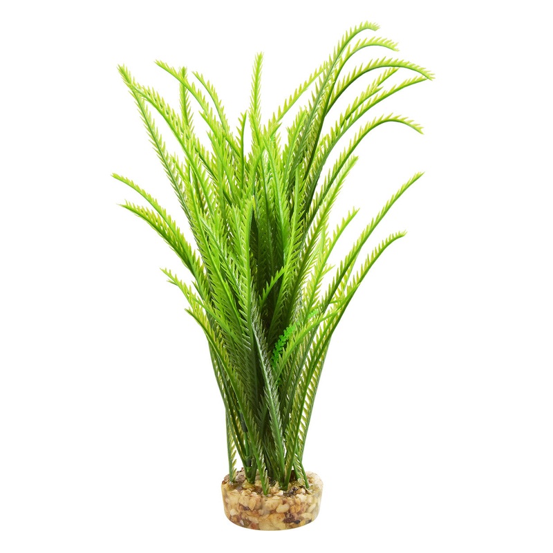 Japonica - Green - 12"