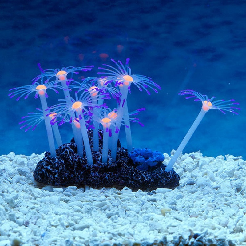 PURPLE/ORANGE Star Polyps CORAL SPORN GLOW