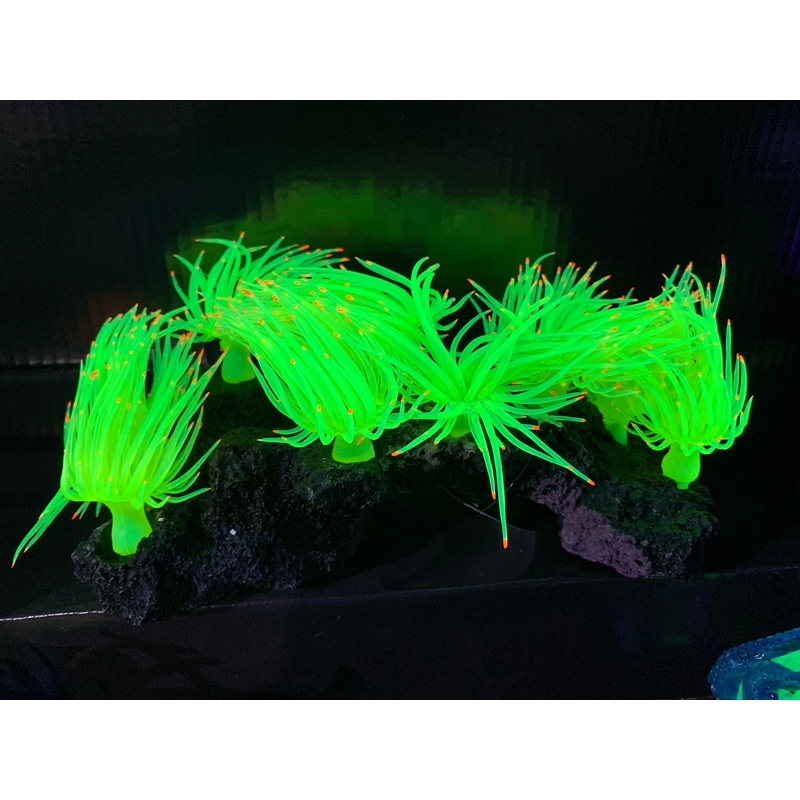 Anemone Cluster on Rock - Yellow (GLOWS)