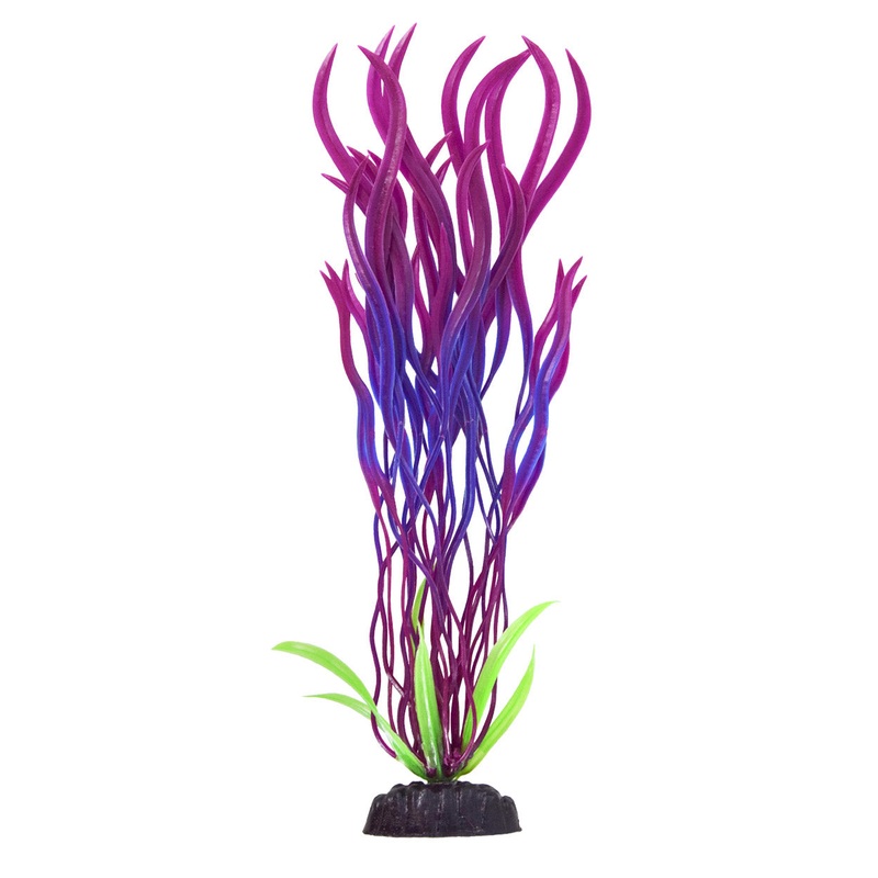 Pearl Finish Wave Val - Purple/Red - 12" Plant
