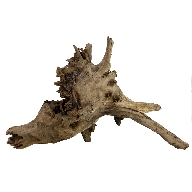 Eucalyptus Root - Large - For Aquariums or Terrariums