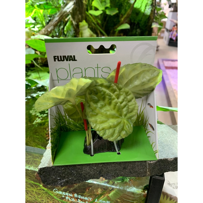 Fluval Lotus - Small - 10 cm (4in) with Base