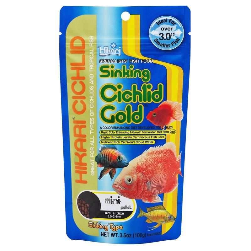 Hikari Cichlid Gold Sinking Mini Pellet 100g - A Colour Enhancing Diet