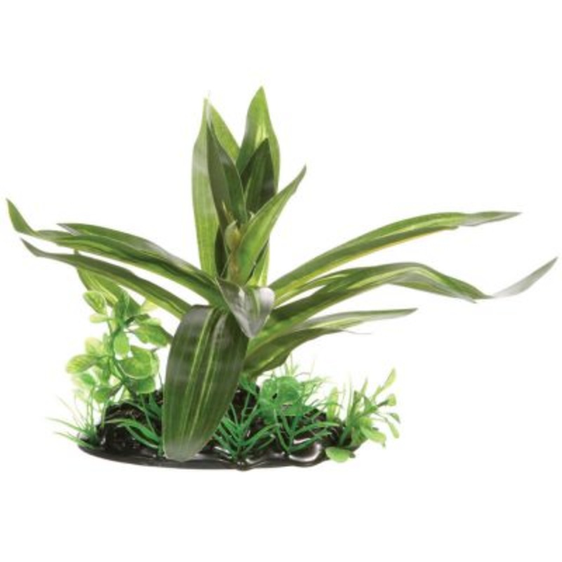 Fluval Giant Sagittaria, Small, 4 (10 cm) with base