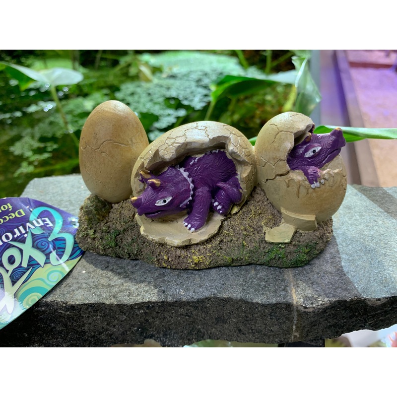 Triceratops Nest by Blue Ribbon Pet Products  EE-5738