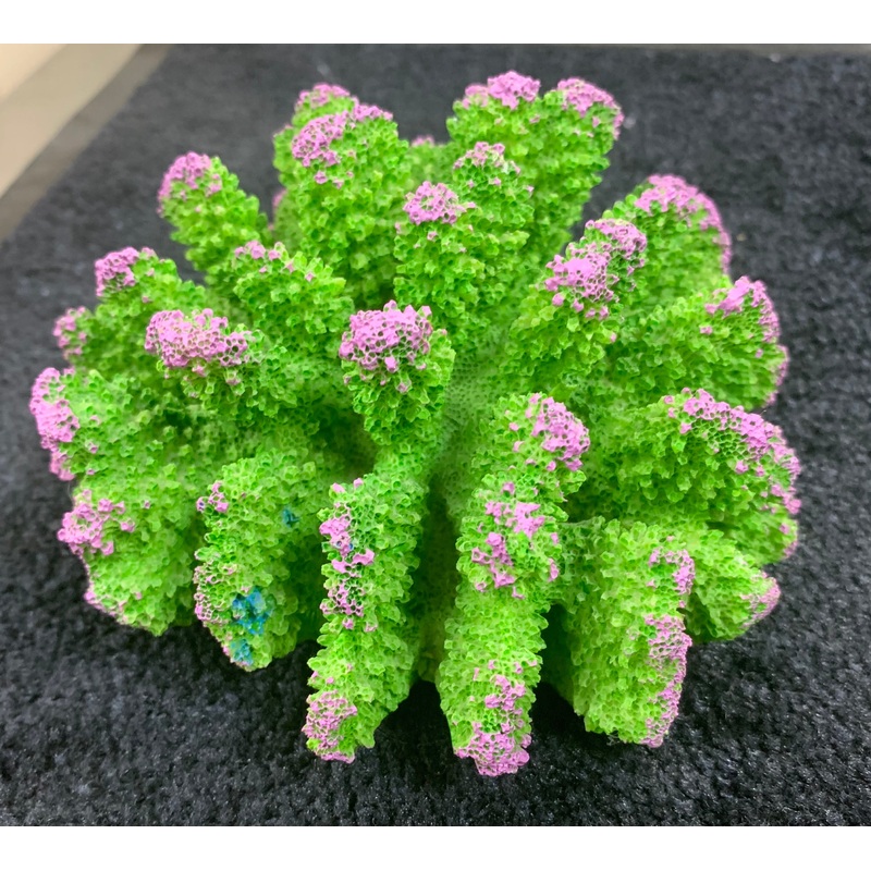 Aussie Branch Coral - Green - Aquarium Ornament