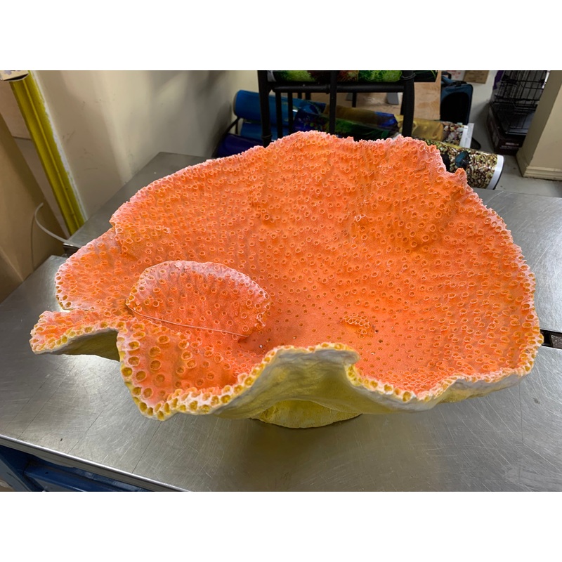 DINNER PLATE CORAL - ORANGE - Aquarium Ornament