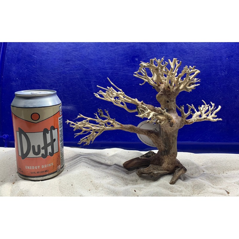Dragon Bonsai Wood  3 - Small  8.5" x 3.5" x 7"