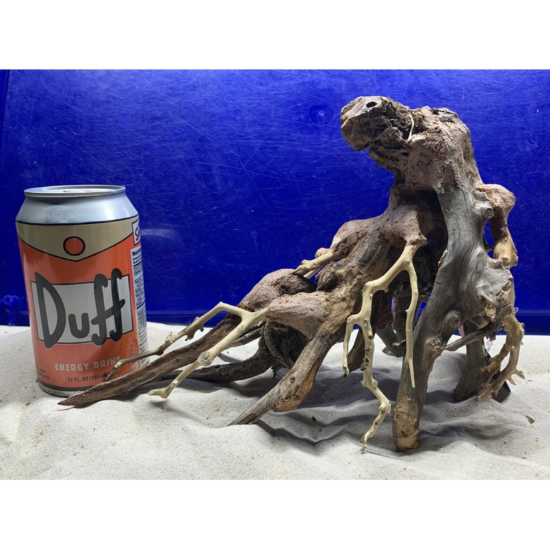 Dragon Bonsai Wood  4 - Small  10" x 4.5" x 7"