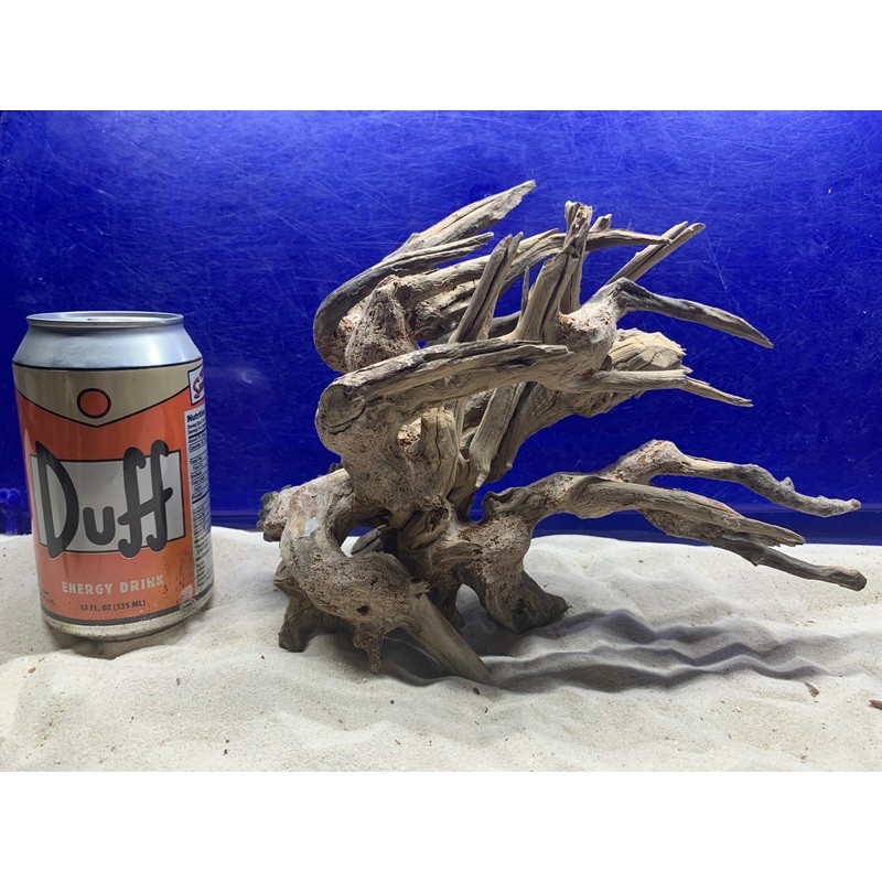 Dragon Bonsai Wood 5 - Small  9" x 5" x 7"