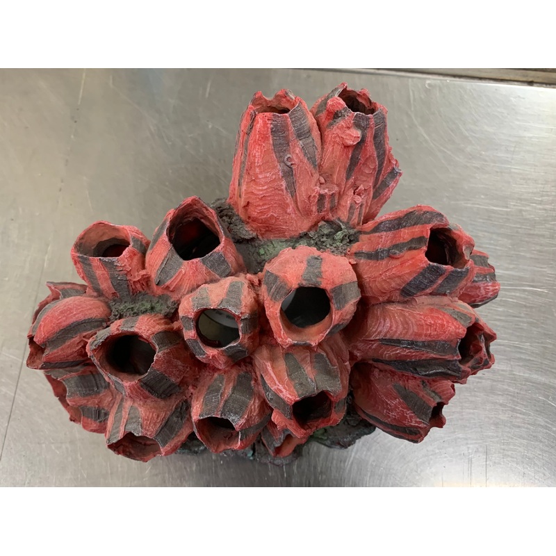 Fire Barnacle - Aquarium Ornament