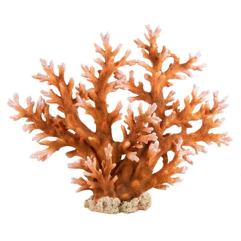 Staghorn - X-Large - Aquarium Ornament - Saltwater Decoration