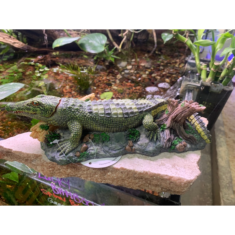 UT Laughing Gator Action Air Aquarium / Reptile Ornament