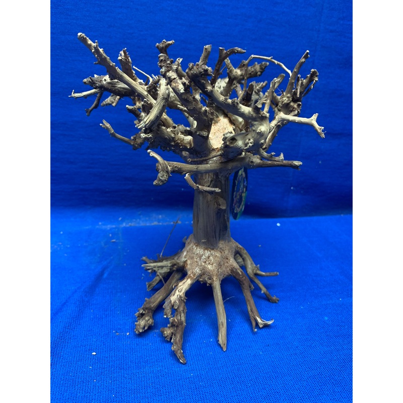 Cloud Bonsai Wood - Small  5.5" x 5.5" x 7.25"