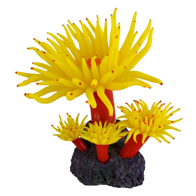 Duncan Coral - Sunset 5.9"