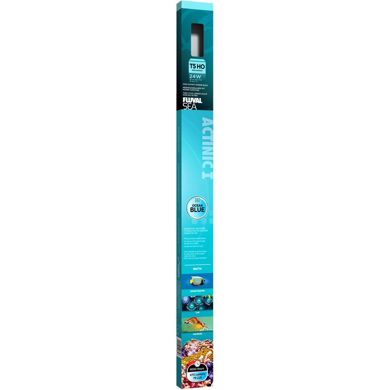 FLUVAL T5 HO Actinic Aquarium Bulb, 24 W, 22 (55 cm)