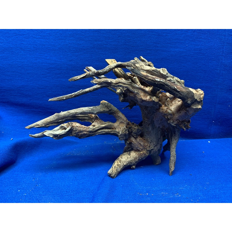 Kirin Bonsai Wood Left Design  9" x 5" x 7"