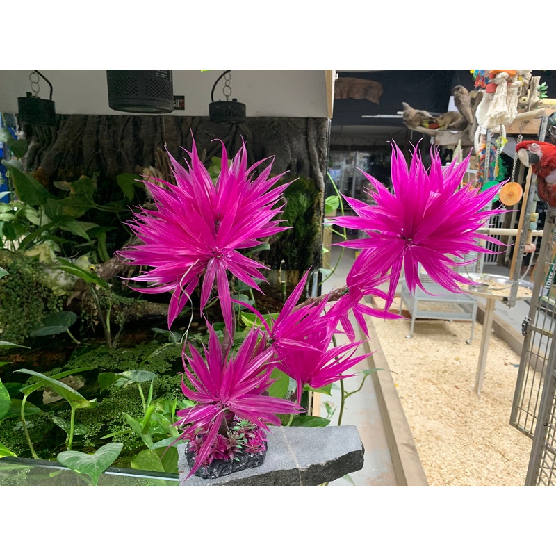 Paradise Fern - Fuchsia - 18"