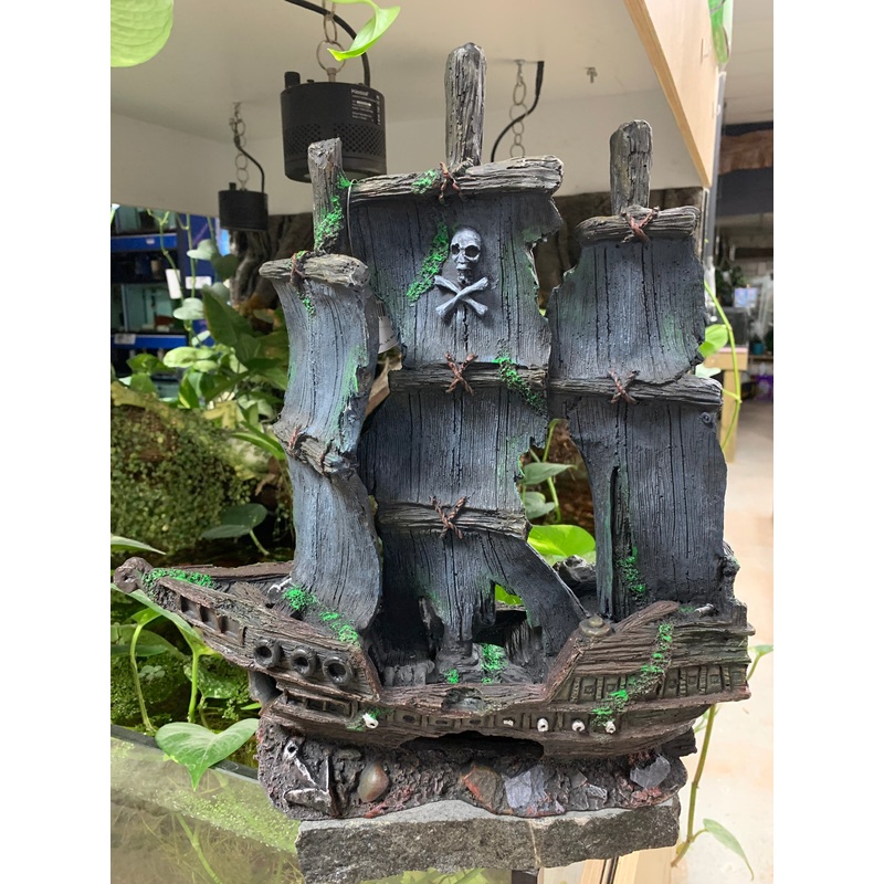 Pirate Ship