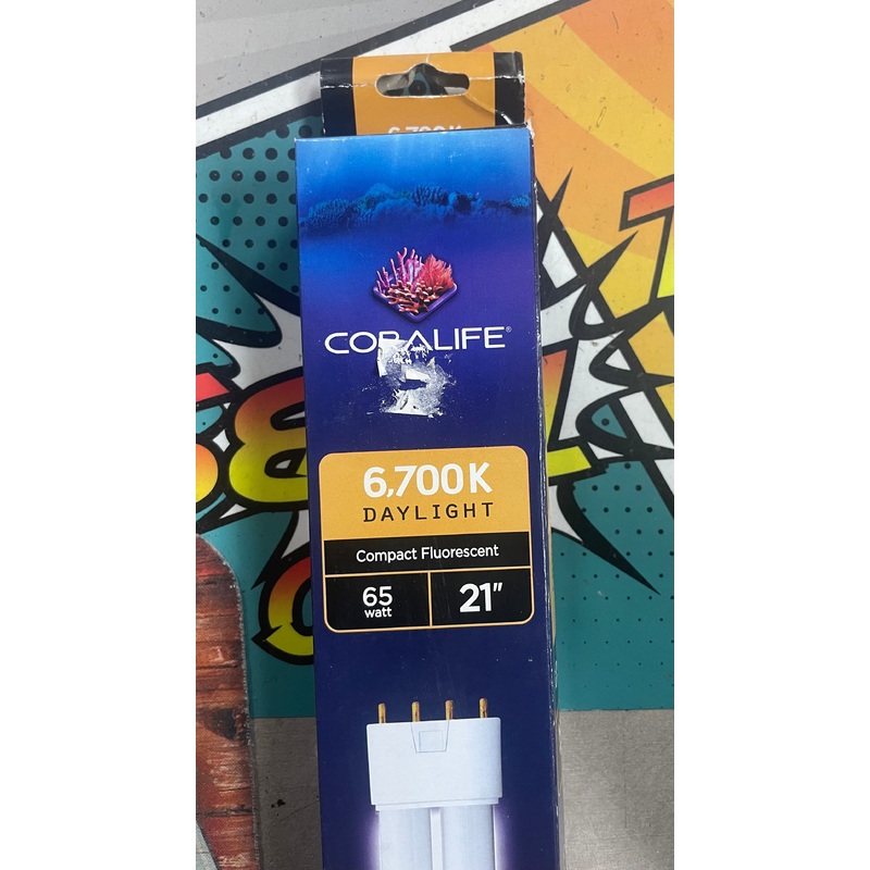 CORALIFE 6700K Daylight Compact Fluorescent 65 watt 21"