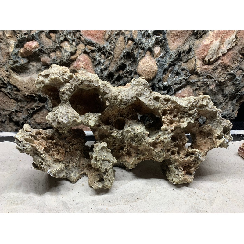 Pitted Rock Wall - Medium
