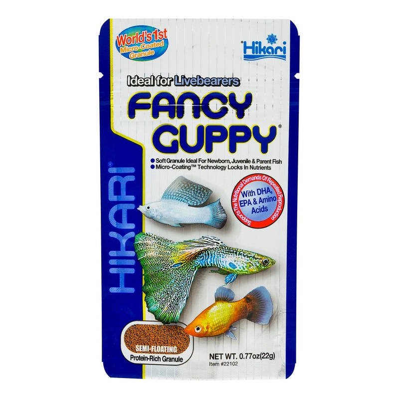 Hikari Fancy Guppy Semi-Floating Pellet 22g - Protein Packed Formula