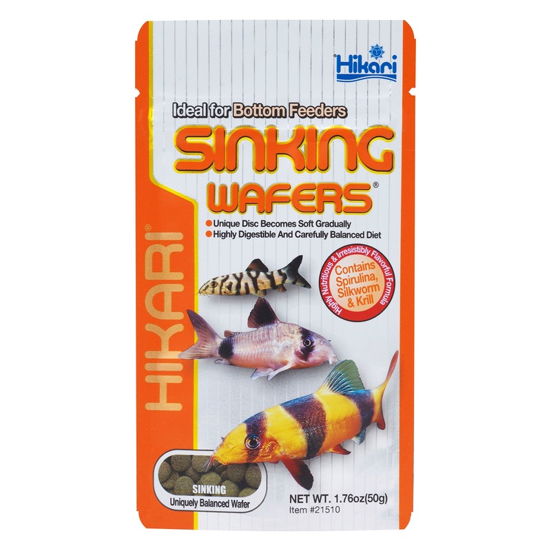 Hikari Sinking Wafers 50g - Ideal for Bottom Feeders