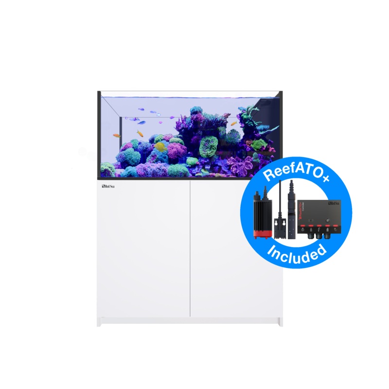 Red Sea Reefer G2+ 500 Peninsula Aquarium - White