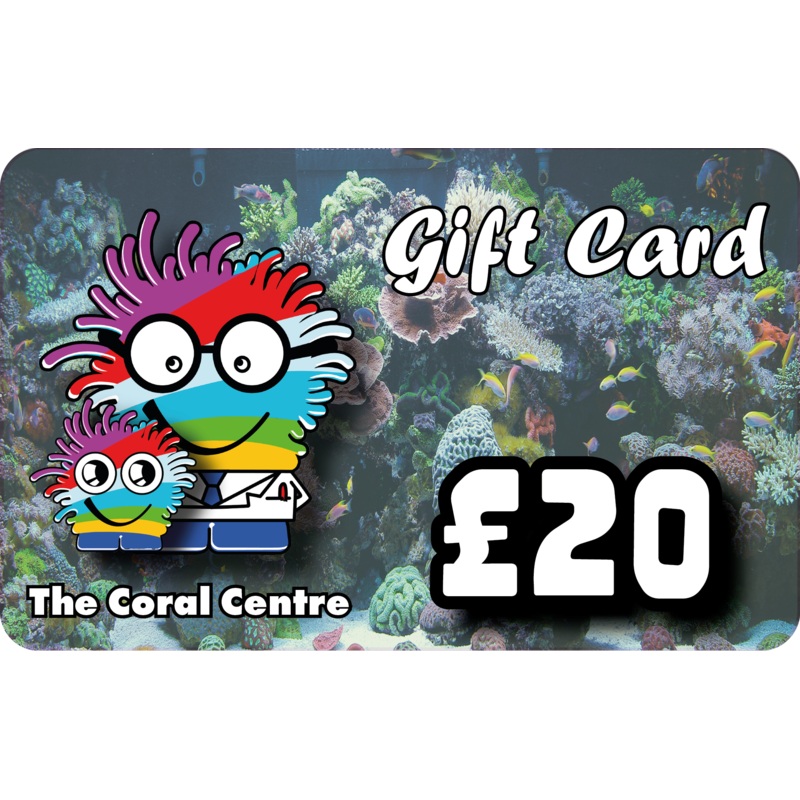 20 Gift Voucher