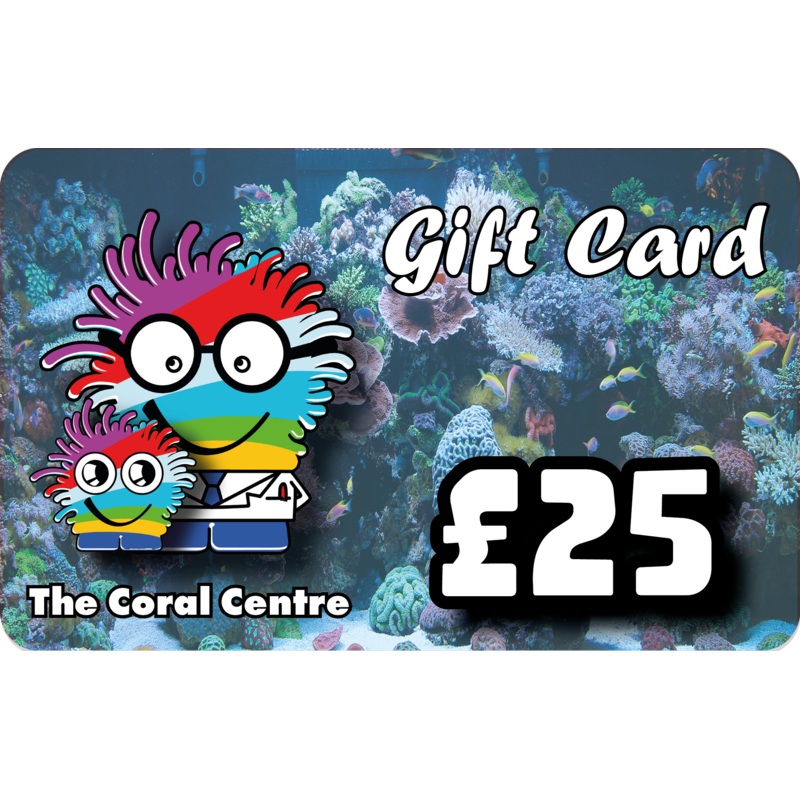 25 Gift Voucher