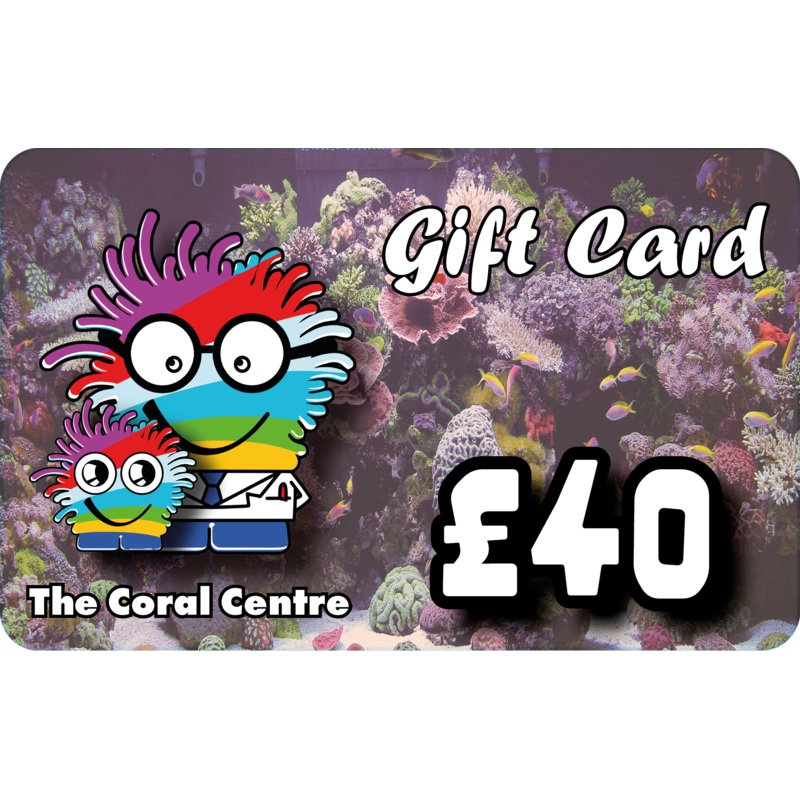 40 Gift Voucher