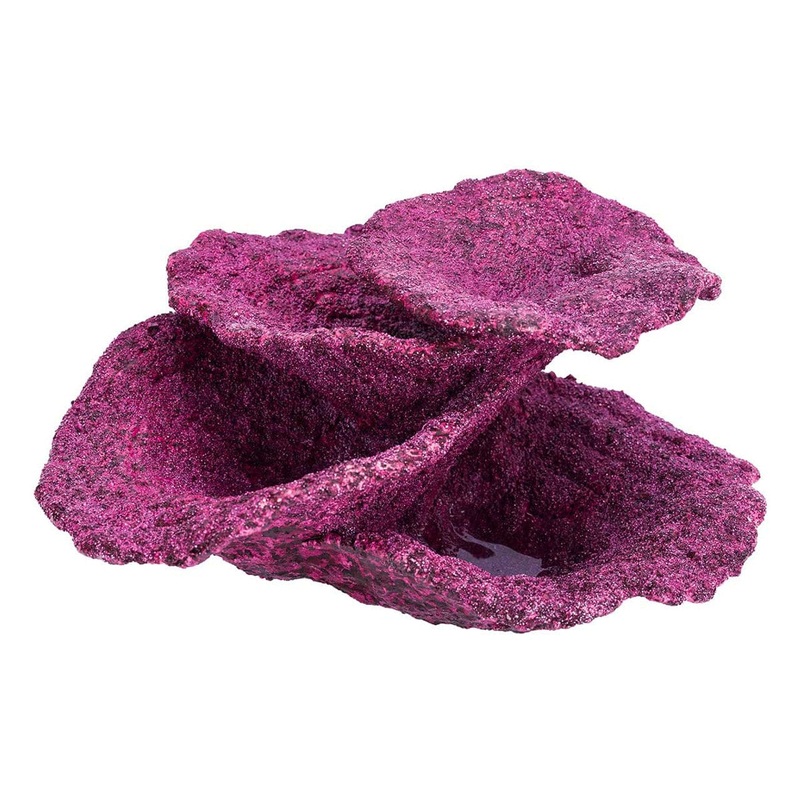 Mini Plate Corals - 10 Piece - Real Reef