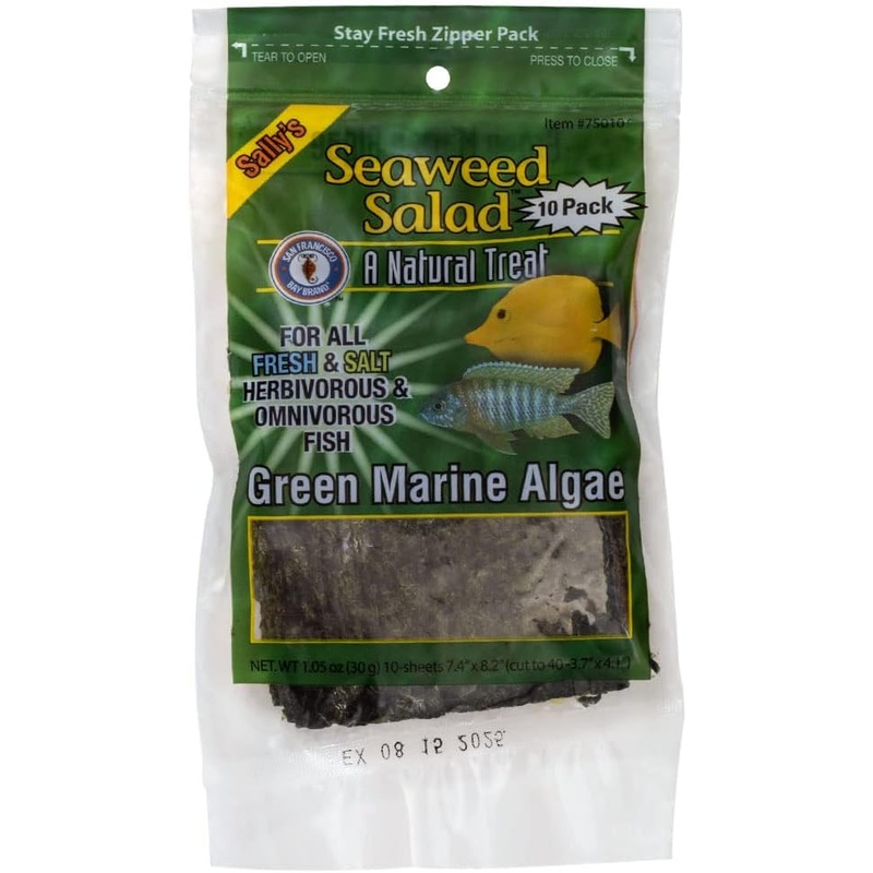 Seaweed Salad Green Marine Algae - San Francisco Bay