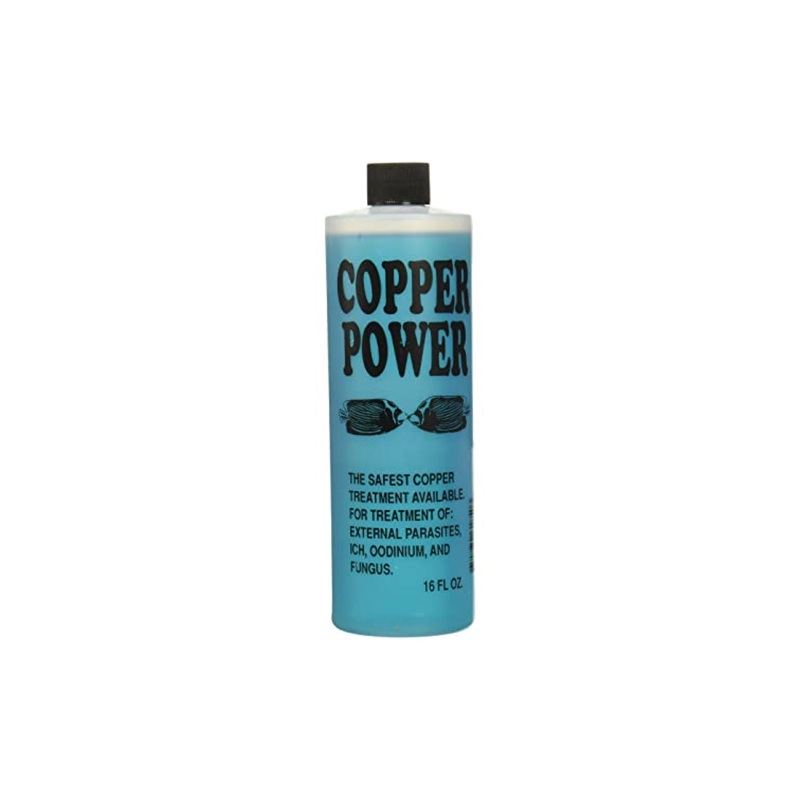 Copper Power - Endich