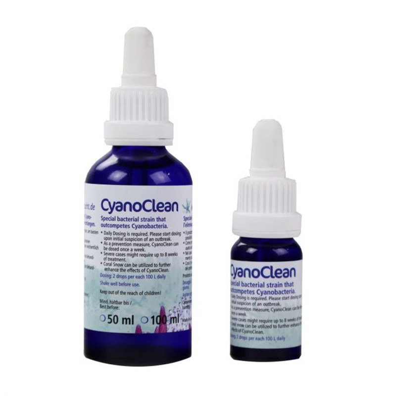 CyanoClean Bacteria - Korallen-Zucht