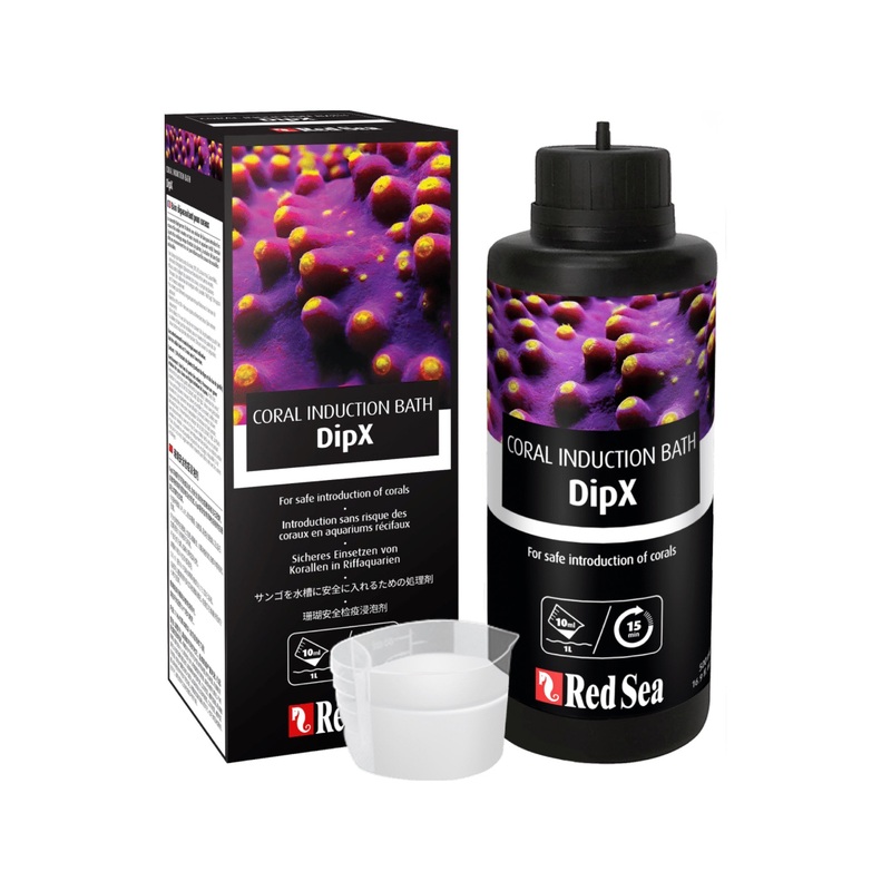 DipX Coral Dip - Red Sea