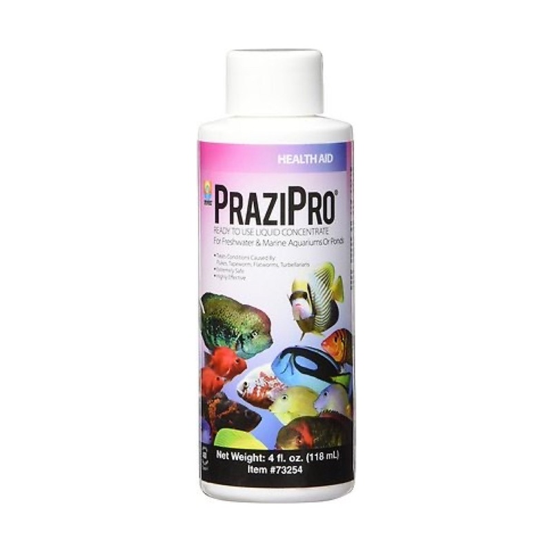 PraziPro - Hikari