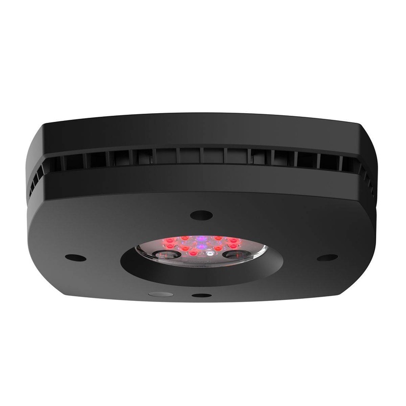 AI Prime 16 LED Fuge Light