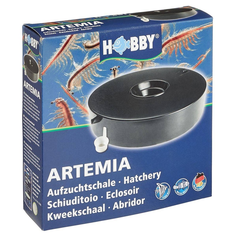 Brine Shrimp Hatchery Dish