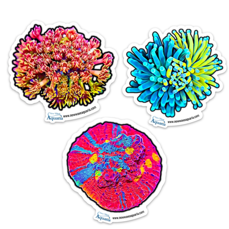 Sticker 3-Pack Set (2nd Edition)