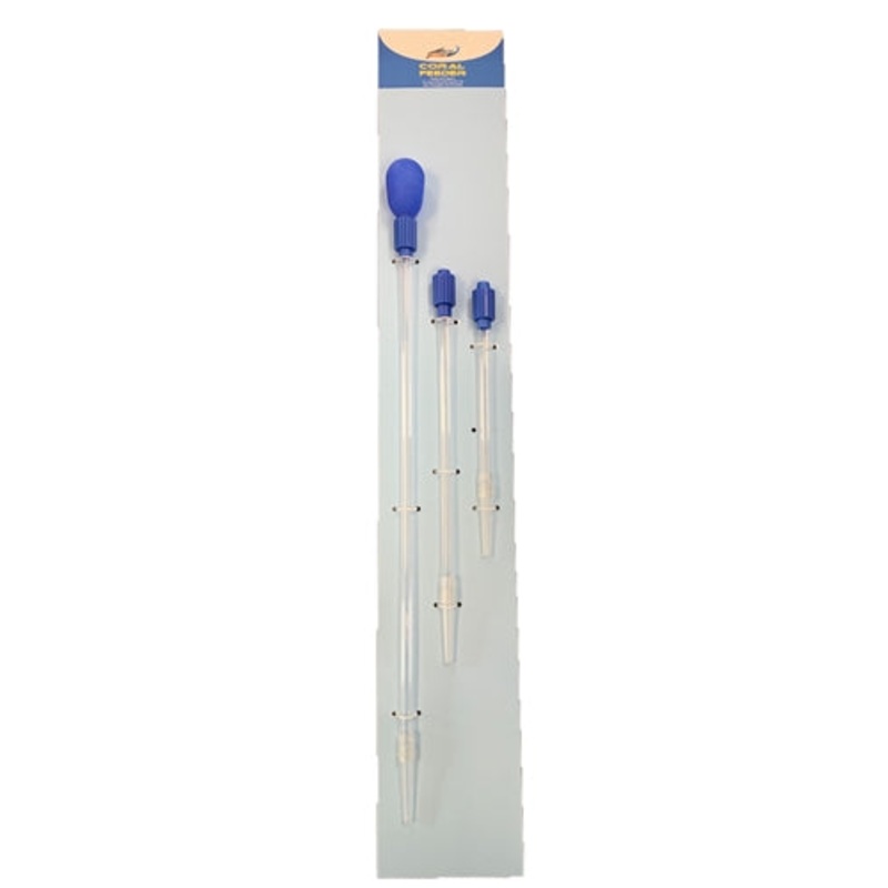 Wave Point Coral Feeder