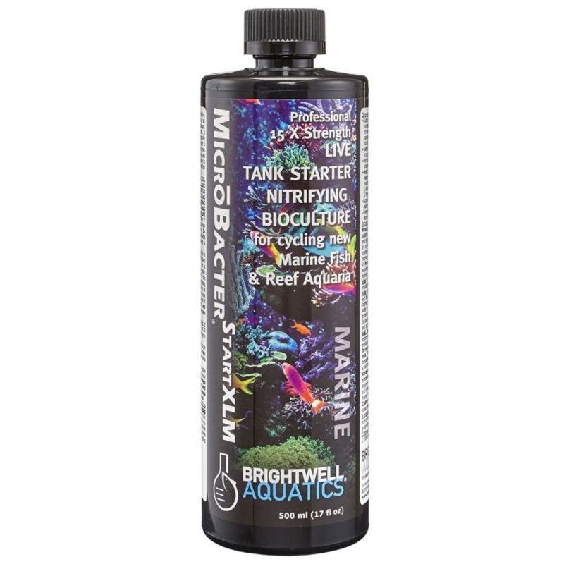 Microbacter StartXLM - Brightwell Aquatics