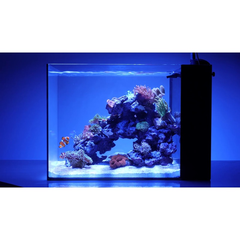 Waterbox Peninsula Mini AIO Aquarium Setup