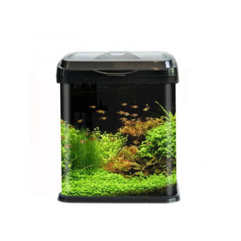 RS Electrical Glass Aquarium Only RS-230EL (L*W*H = 23*20*23 cms)