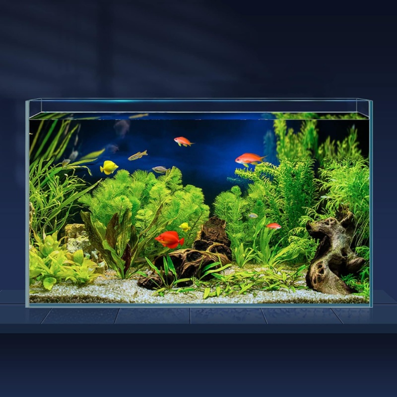 Ultra Clear Open Tank Only (L*W*H = 23*15*22 Cms) | 5mm
