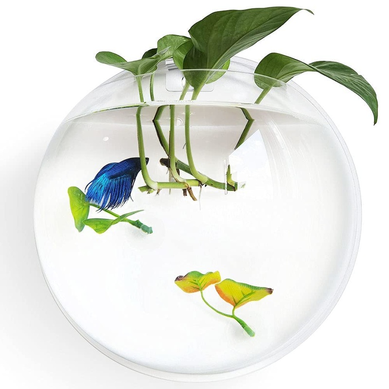 Wall Hanging Fish Bow (12 Inches)