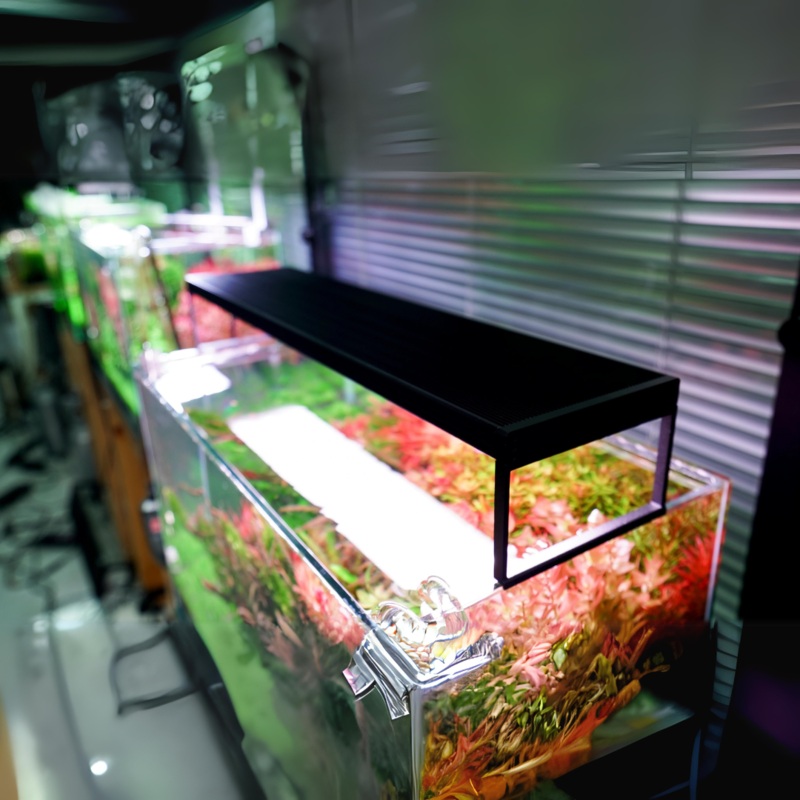CHIHIROS WRGB II Pro 60 For Planted Aquarium  Bluetooth Edition