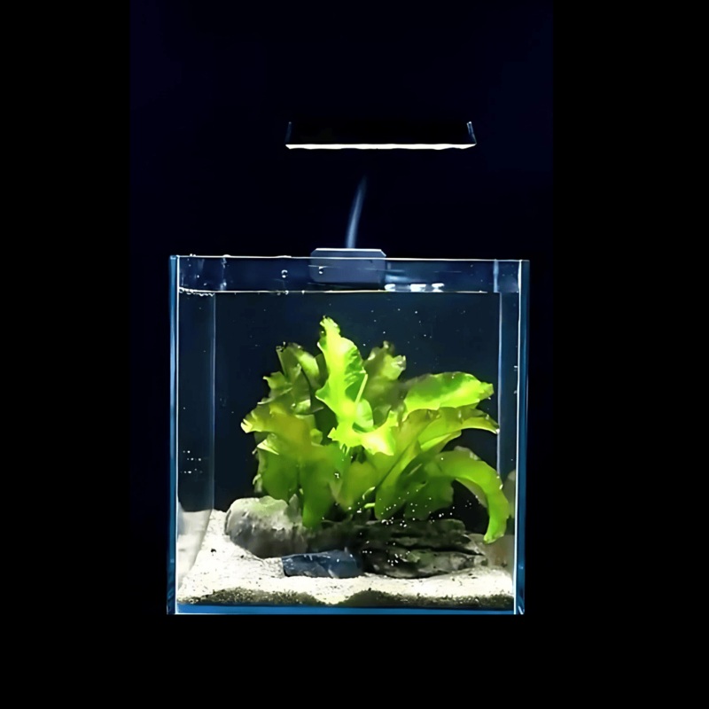 Live aquarium with  plant, light & filter