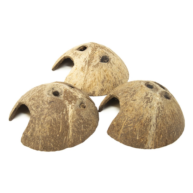 Coconut Shell Cave Hut